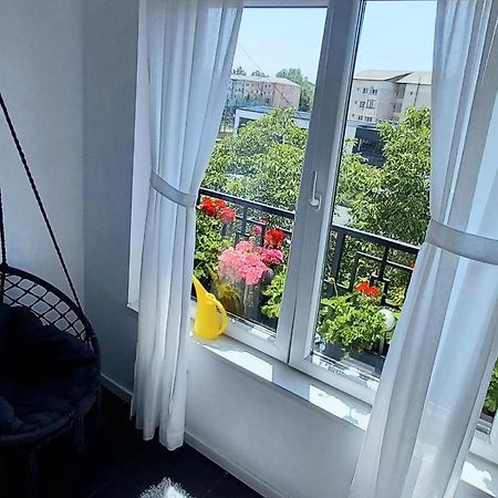 33 Coquette Apartment Baia Mare Exteriér fotografie