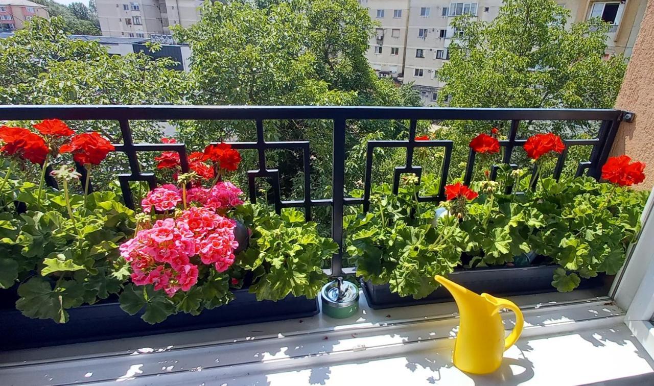 33 Coquette Apartment Baia Mare Exteriér fotografie