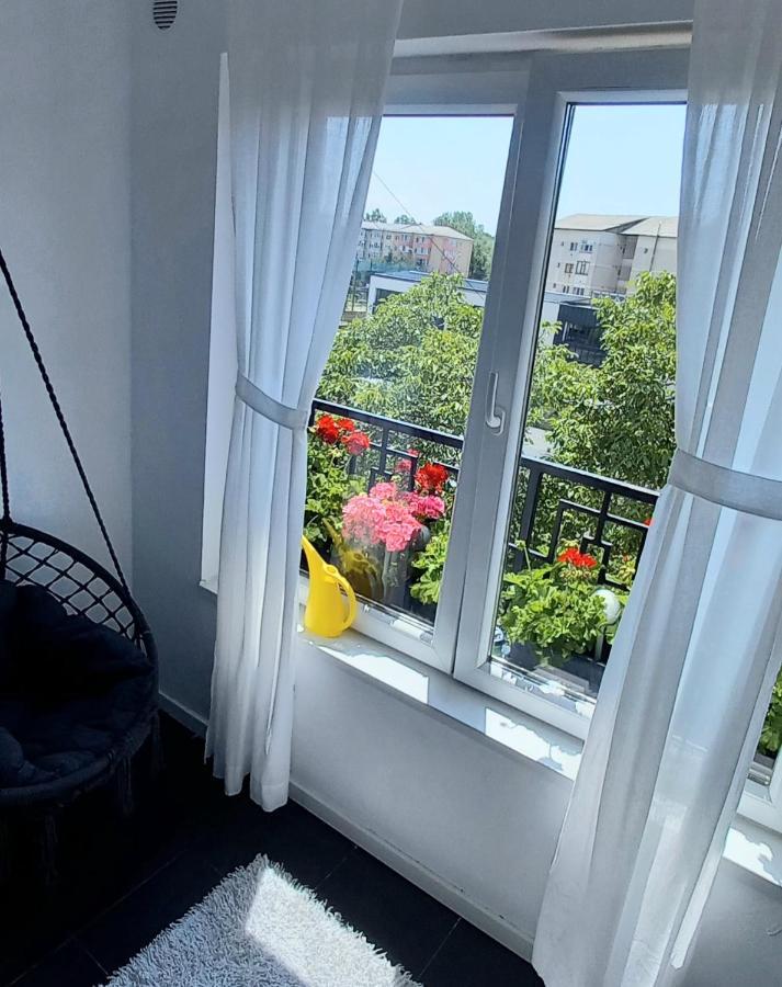 33 Coquette Apartment Baia Mare Exteriér fotografie